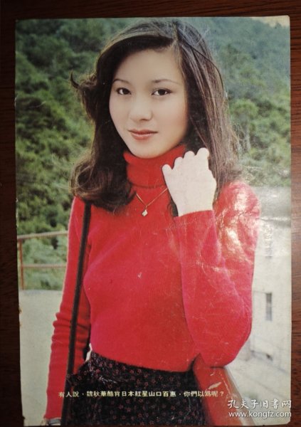 电视周刊 魏秋桦早期32开彩页