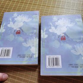 20世纪中国小说经典作家全集丛书：孙犁小说全集 （上下 全两册 合售）