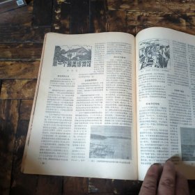 化石1982年1~4期（季刊，全年合售）