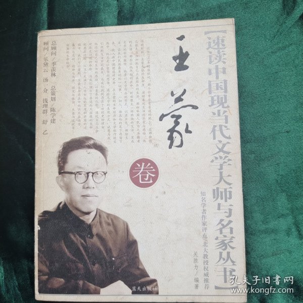 速读中现代文学大师与名家丛书 王蒙卷
