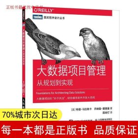 大数据项目管理从规划到实现