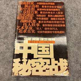 中国秘密战：中共情报、保卫工作纪实