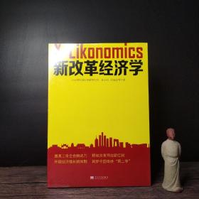 新改革经济学