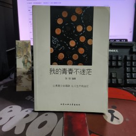 我的青春不迷茫（一版一印）