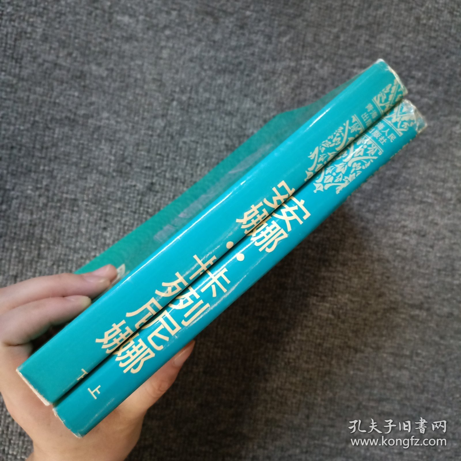安娜.卡列尼娜 (上下)