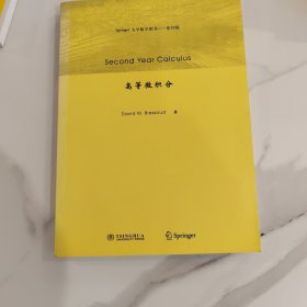 Springer大学数学图书（影印版）：高等微积分