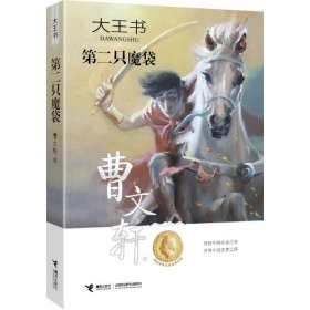 大王书：第二只魔袋