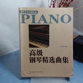 钢琴艺术之旅丛书：高级钢琴精选曲集