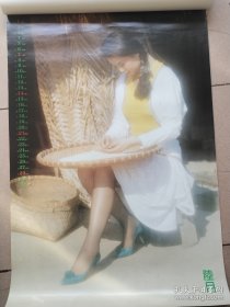 1992年挂历 少女日记 全13张75×52cm
