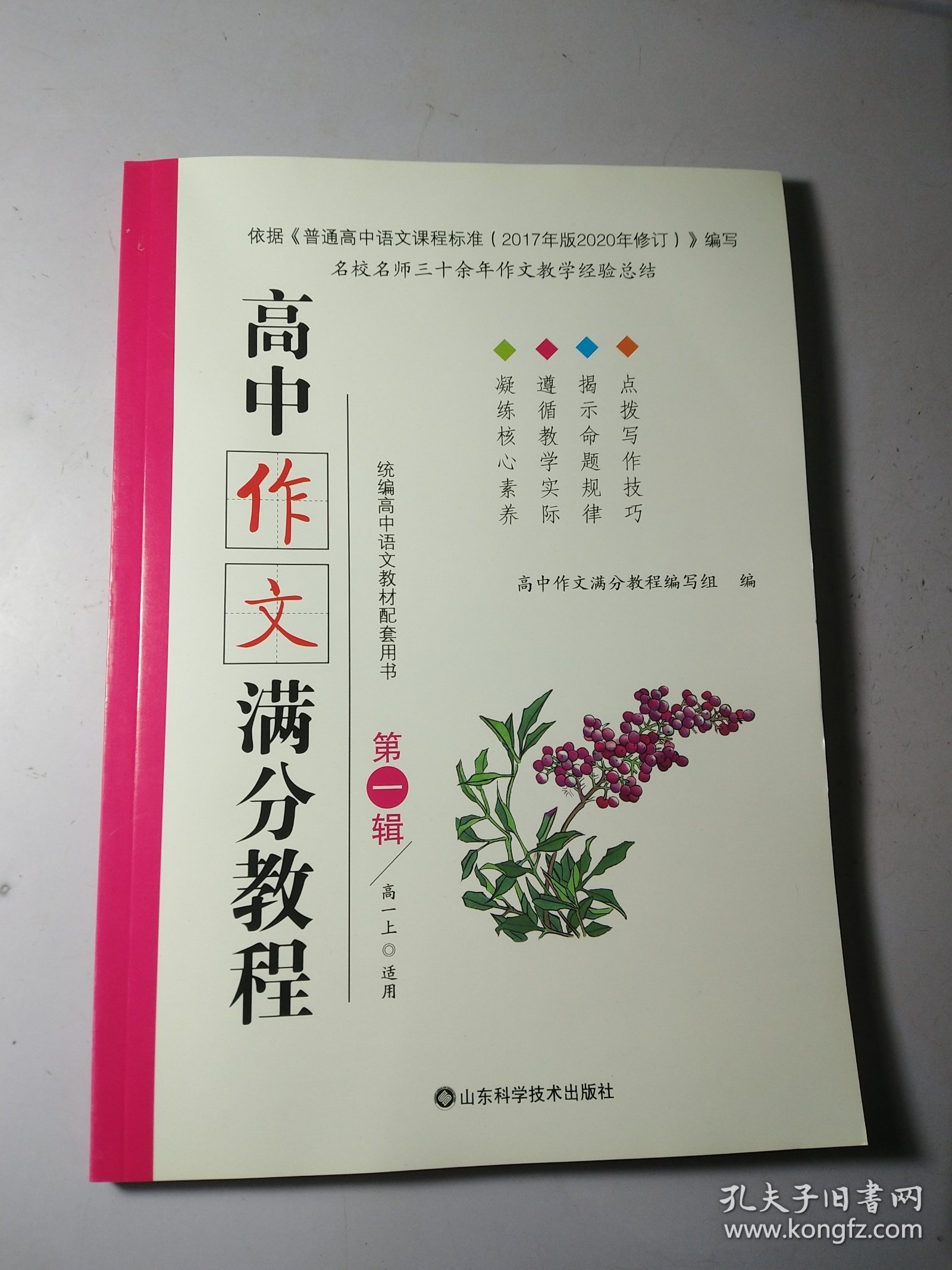 高中作文满分教程 第一辑 高一上【干净】2022