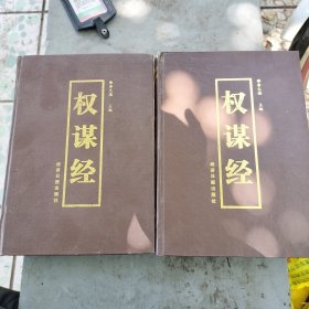 权谋经 未