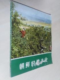 朝鲜的果木业(1971)