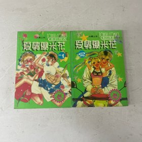 爱情爆米花 全两册