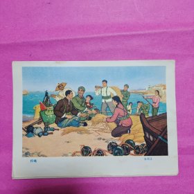 彩色宣传画（7张）