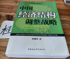 中國經(jīng)濟結(jié)構(gòu)調(diào)整戰(zhàn)略