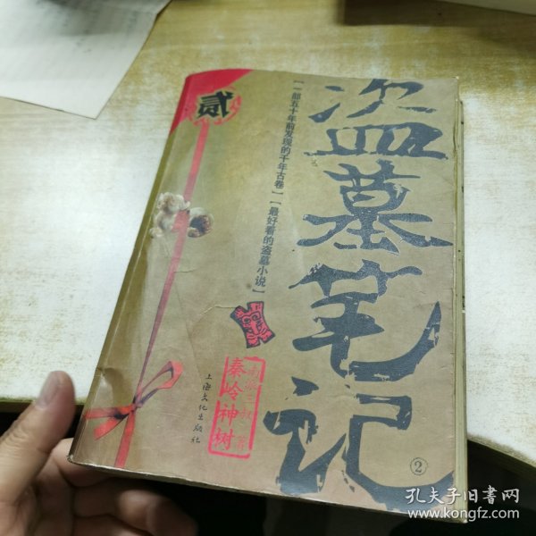 盗墓笔记 2：秦岭神树