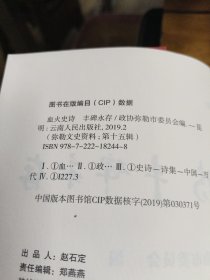 血火史诗丰碑永存，弥勒文史资料十五辑