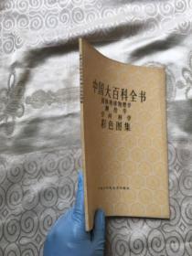 中国大百科全书 固体地球物理学 测绘学 空间科学彩色图集