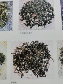 4张！茶与名茶广告