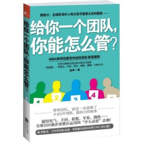 【9成新正版包邮】给你一个团队，你能怎么管？