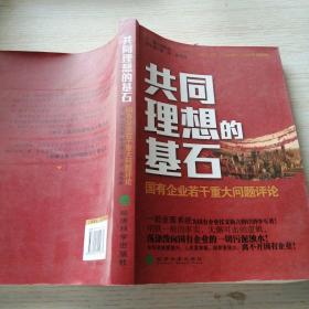 共同理想的基石：国有企业若干重大问题评论