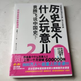 历史是个什么玩意儿2：袁腾飞说中国史下