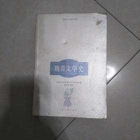 魏晋文学史(中国文学通史系列)