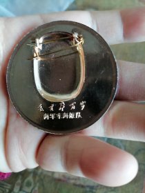 海军东海舰队 彩色像章