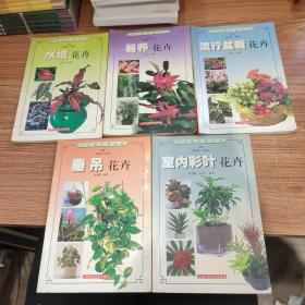 水培花卉/易养花卉/流行盆栽花卉/垂吊花卉/室内彩叶花卉（5本合售）