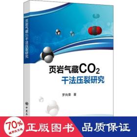 頁巖氣藏co2干法壓裂研究 化工技術(shù) 羅向榮