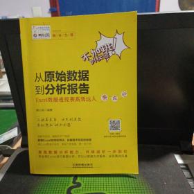 从原始数据到分析报告：Excel数据透视表高效达人养成记