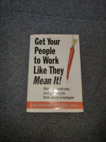 Get Your People To Work Like They Mean It（让你的员工认真工作 英文原版书）