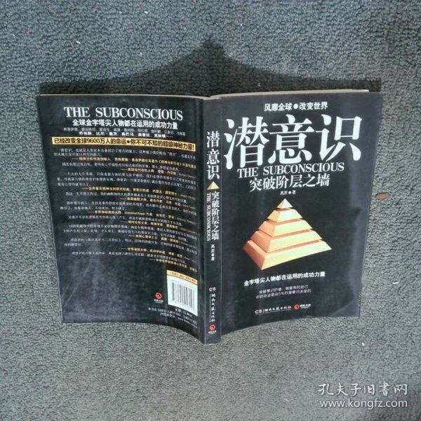 潜意识 突破阶层之墙  高原著 湖南文艺出版社