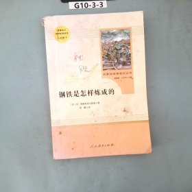 统编语文教材配套阅读 八年级下：钢铁是怎样炼成的/名著阅读课程化丛书