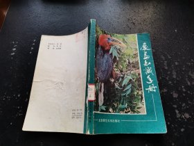 爱鸟知识手册（正版现货，实物拍摄）