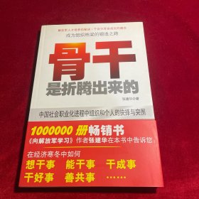 中国本土红色管理书系：骨干是折腾出来的