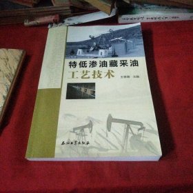 特低渗油藏采油工艺技术巜大16开平装》