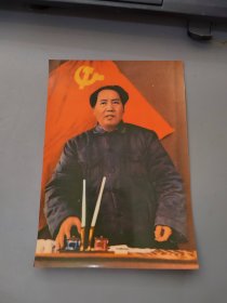 彩色：毛泽东照片 实物拍摄 8.7×2.9