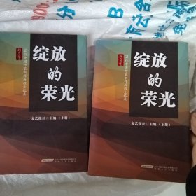 绽放的荣光:74位中国作家创作历程全记录(上下)新力量文丛