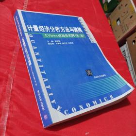 计量经济分析方法与建模：数量经济学系列丛书