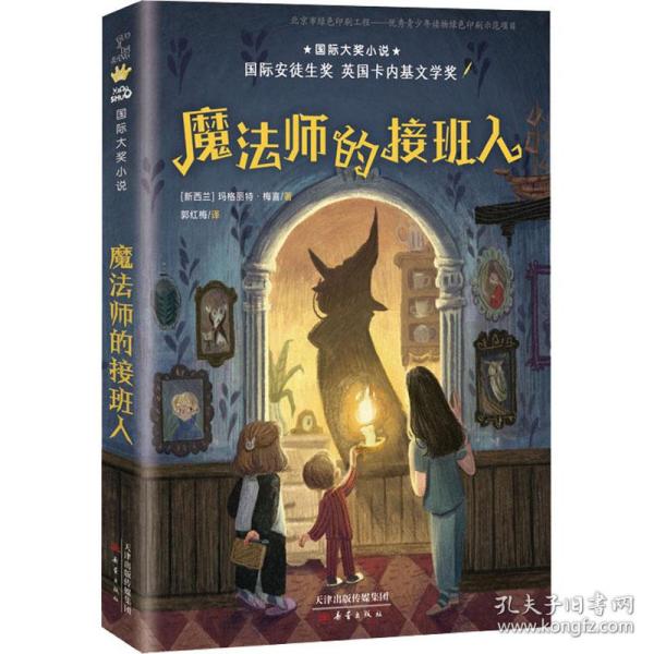 国际大奖小说——魔法师的接班人