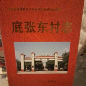 王村村志(公元前160－－2019)一陕西省西咸新区空港新城底张街道