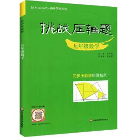 挑战压轴题·九年级数学