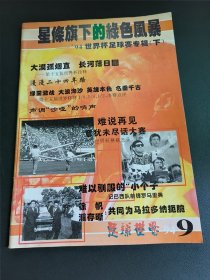 星条旗下的绿色风暴 94世界杯足球赛专辑 下册