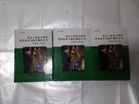 《电力工程运行维护实用技术与操作规程全书-供配电工程分册（上中下）》，16开