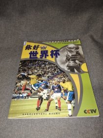 你好世界杯 2002年世界杯CCTV观战指南