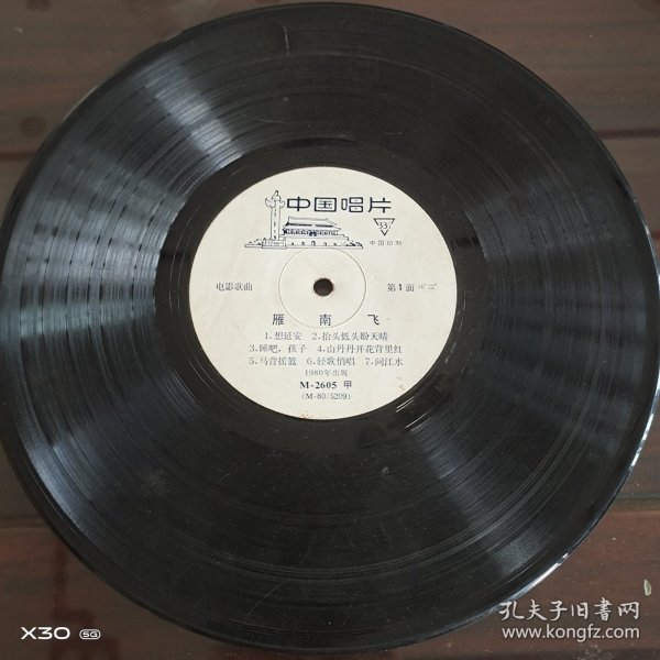 电影歌曲，雁南飞