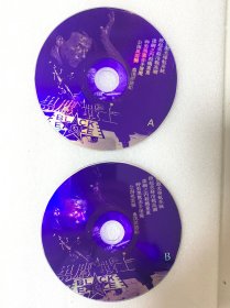 VCD光盘 【黑鹰战士】vcd 未曾使用 双碟裸碟 493
