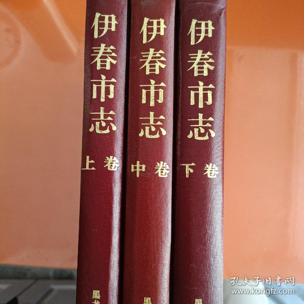 伊村市志（上中下）