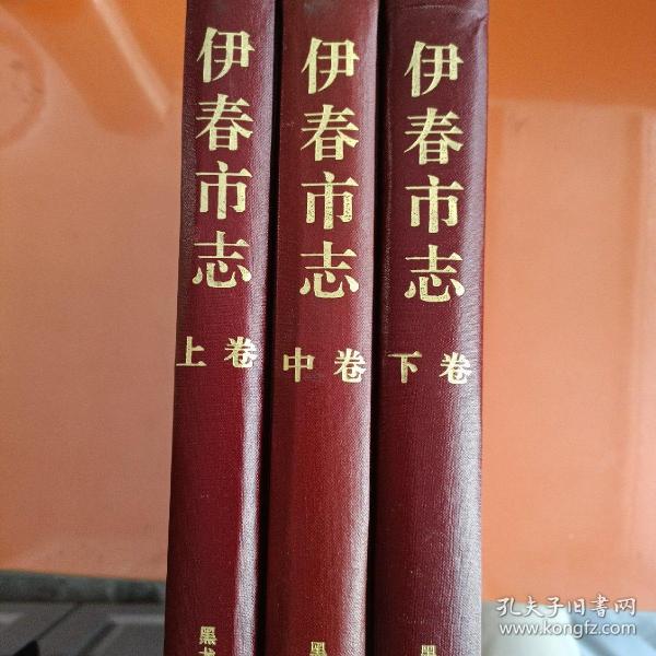 伊村市志（上中下）